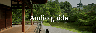 Audio guide