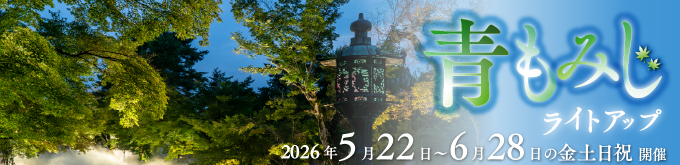 青もみじライトアップ