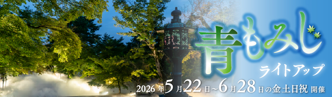 青もみじライトアップ